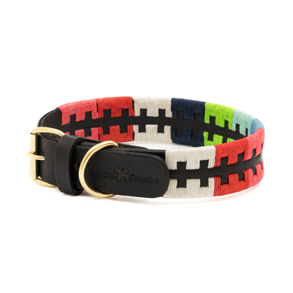 Lederhalsband Dogo