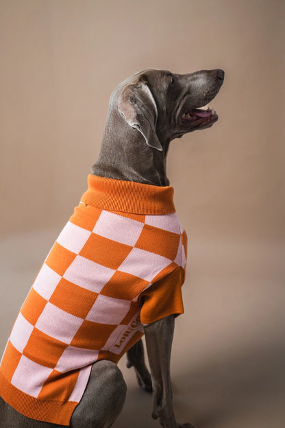gestrickter Hundepullover mit Karos