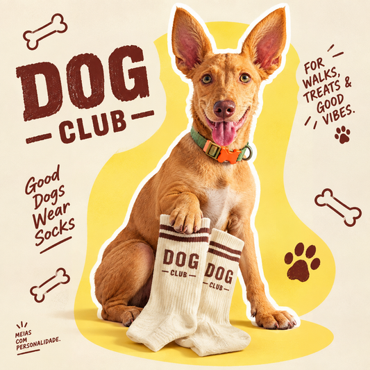 Hund mit beigen Dog Club Socken von PEGADA SOCKS