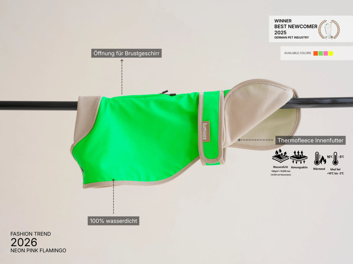 The Glow Raincoat Regular-Fit | Neon Green Gecko