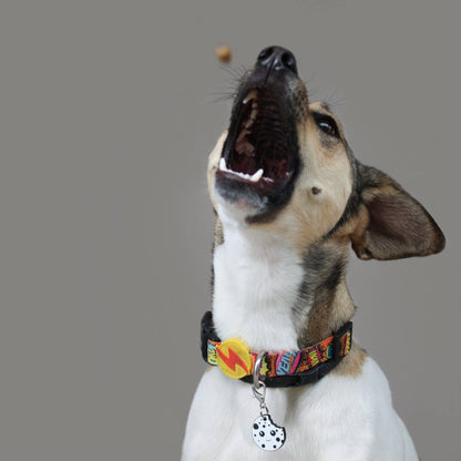 Chicken Crumble – Kalorienarme Leckerlis für Hunde und Katzen
