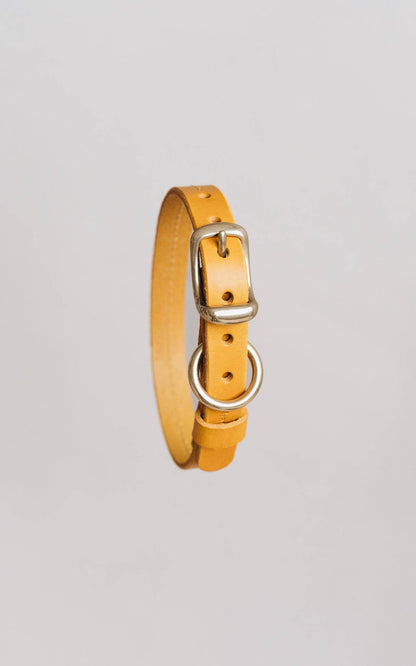 Hundehalsband FIR AIR Gelb