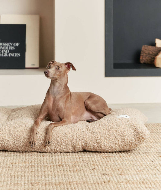 Hundekissen Bela | Teddy Beige