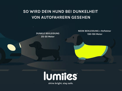 THE GLOW RAINCOAT | mini-fit