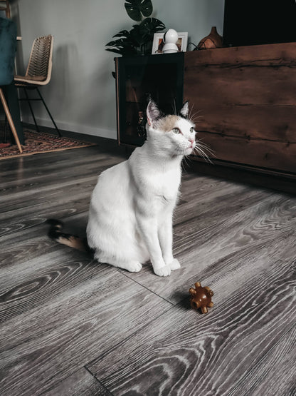 Rub Free Jump X2 Katzenspielzeug