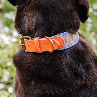 Handgemachtes Hundehalsband Gepolstert – Sunset/Eukalyptus