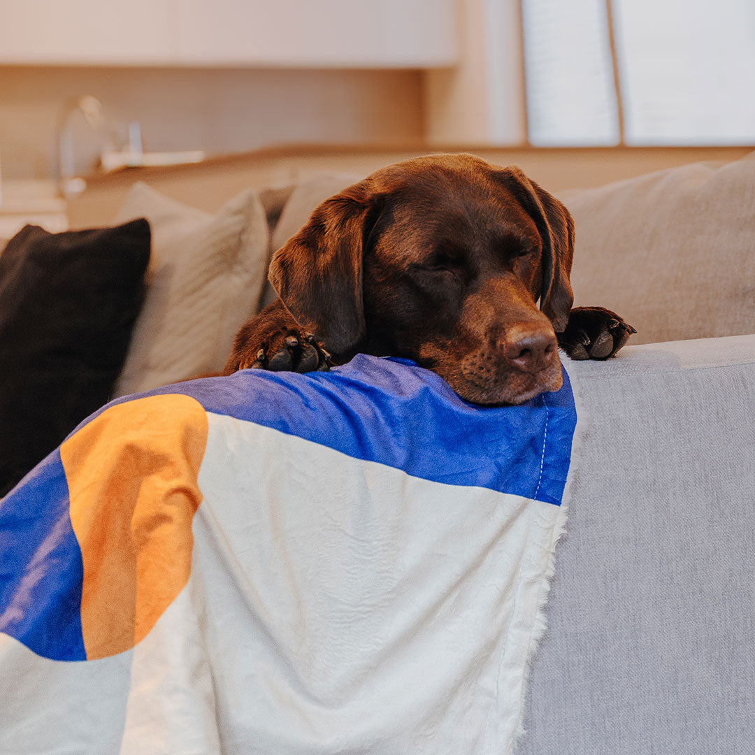 The Cozy Pup | Hundedecke