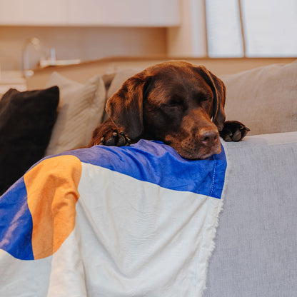 The Cozy Pup | Hundedecke