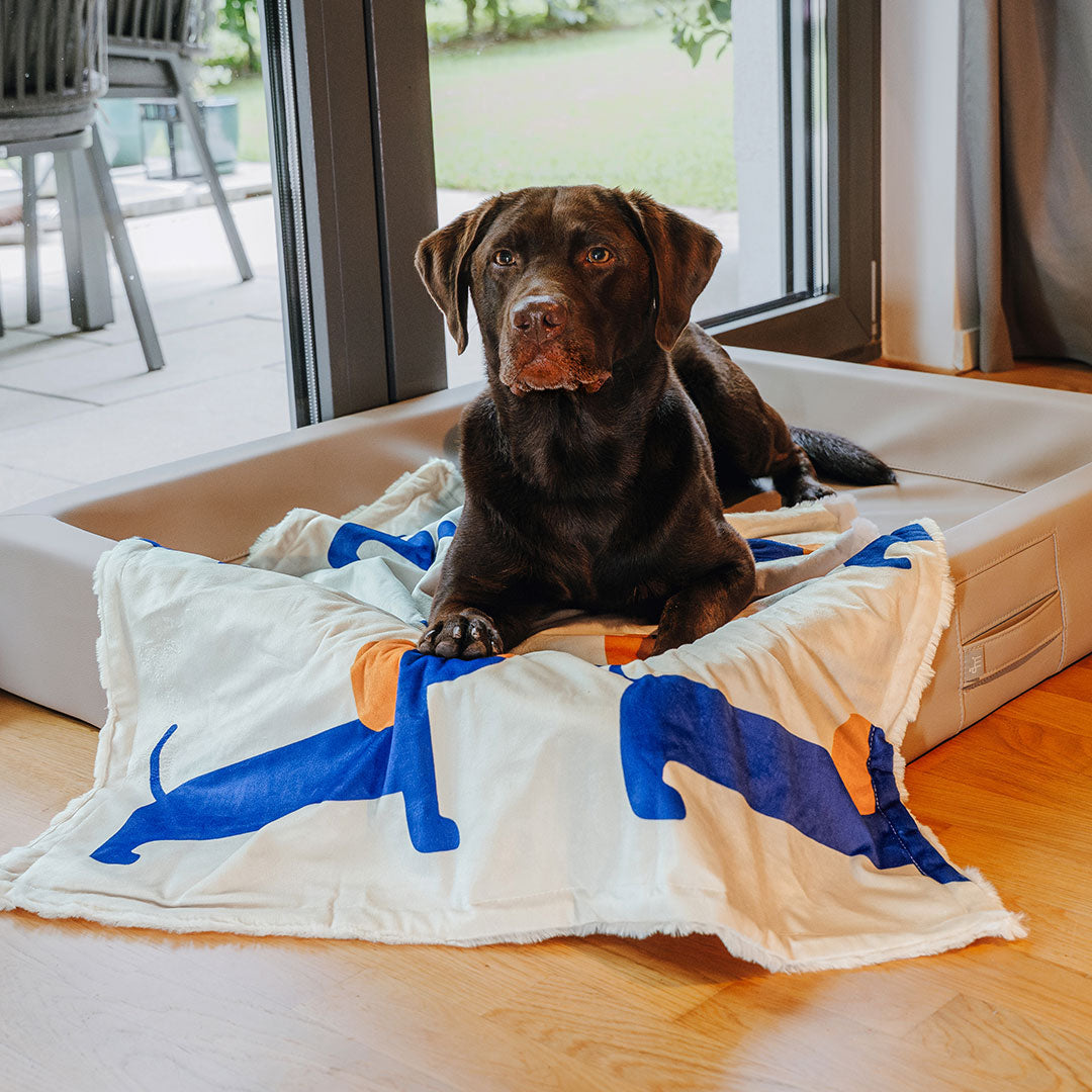 The Cozy Pup | Hundedecke