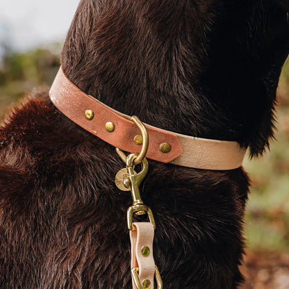 Handgemachtes Hundehalsband Outdoor – FLEX Mocca/Mousse