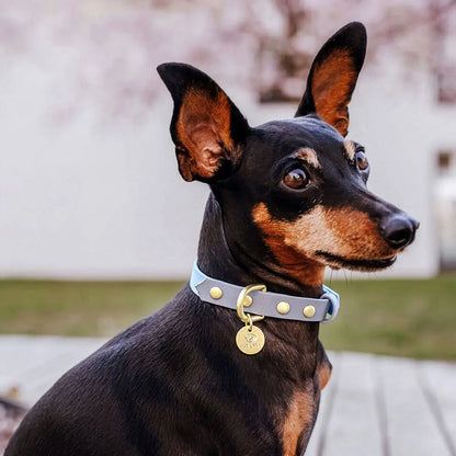 Handgemachtes Hundehalsband Outdoor – FLEX Taupe/Blau