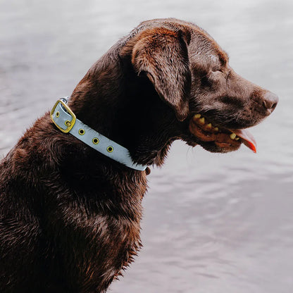 Handgemachtes Hundehalsband Outdoor – FLEX Taupe/Blau