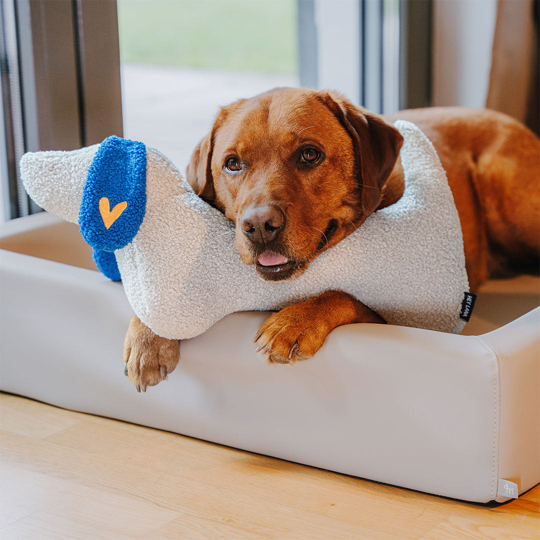 The Snuggle Pup | Hundekissen