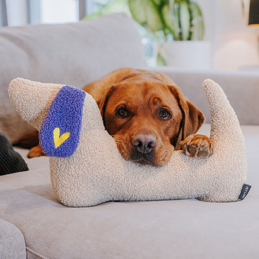 The Snuggle Pup | Hundekissen