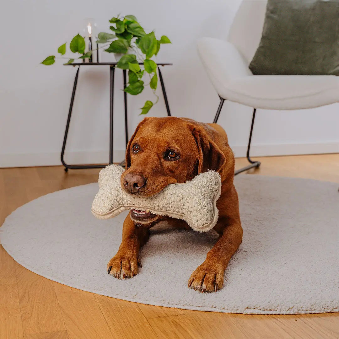 The Snuggle Bone – Premium Kuschelspielzeug