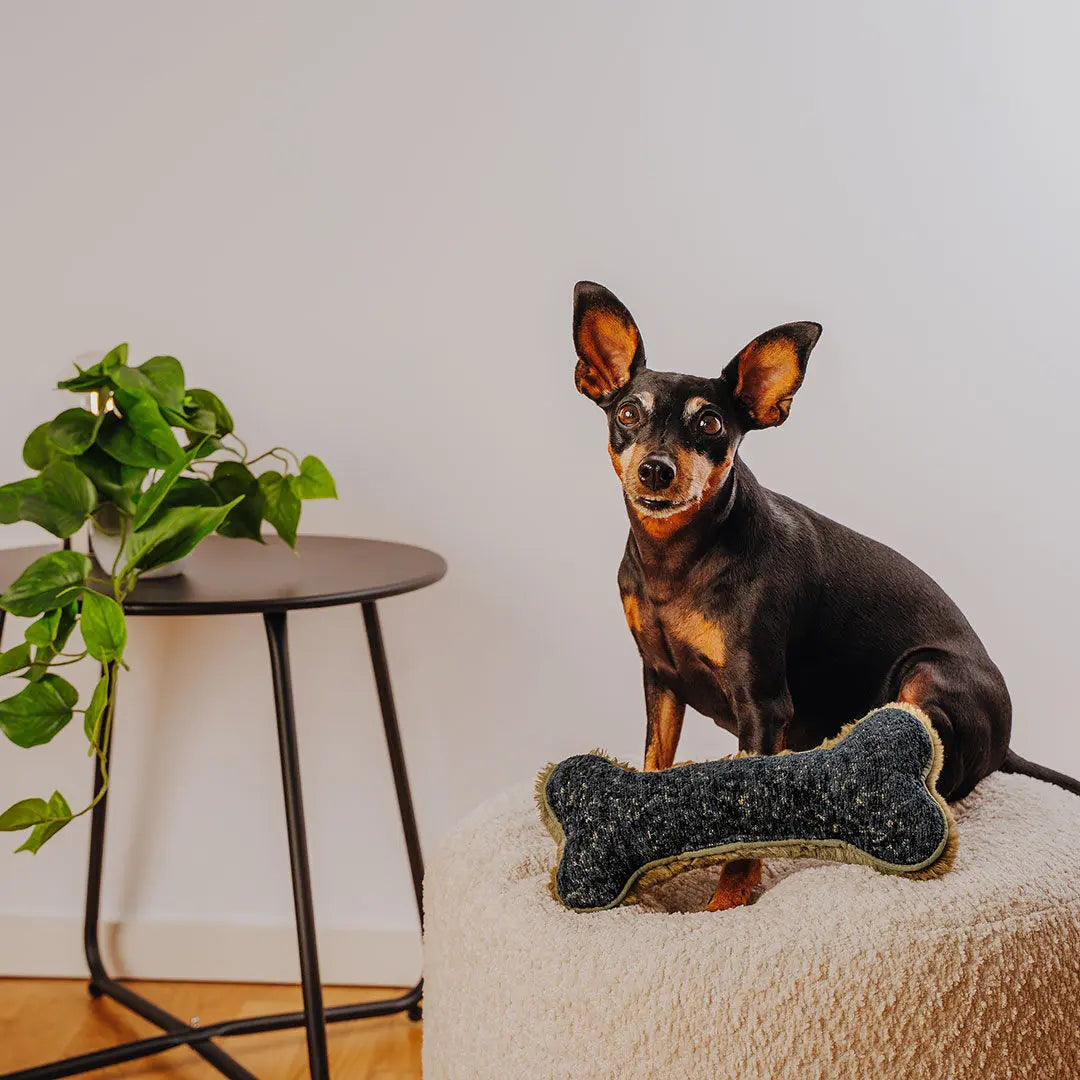 The Snuggle Bone – Premium Kuschelspielzeug