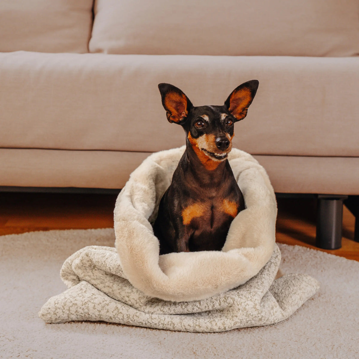 The Snuggle Cave