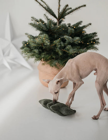 Hundespielzeug HOLIDAY TREE
