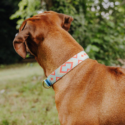 Premium Hundehalsband Gepolstert | Coral/Blau