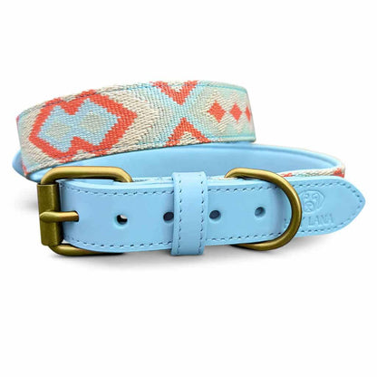 Premium Hundehalsband Gepolstert | Coral/Blau