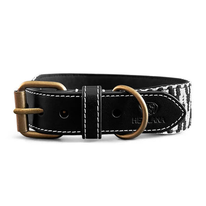 Premium Hundehalsband Gepolstert | Schwarz/Weiß