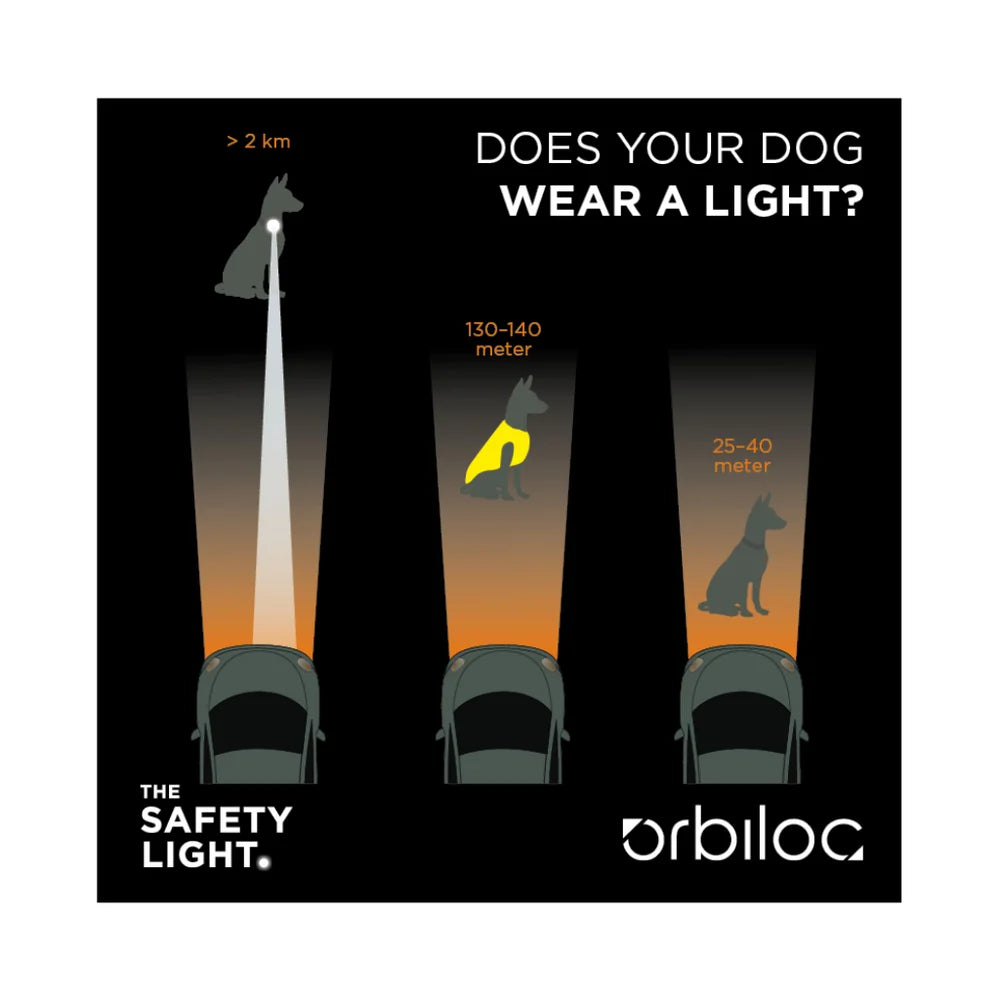 Orbiloc Sicherheitslicht für Hunde | Dog Dual & Mini