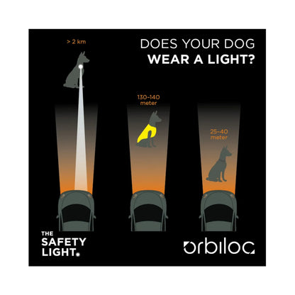Orbiloc Sicherheitslicht für Hunde | Dog Dual & Mini